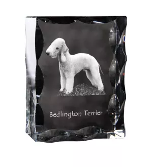 Bedlington Terrier, Rothbury Terrier, Rodbery Terrier - crystal with a picture of a dog, glass statuette with a picture, unique frame with a picture from Art-Dog brand