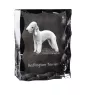 Bedlington Terrier, Rothbury Terrier - Kristall mit einem Hundebild, Glasstatuette mit einem Bild, einzigartiger Bilderrahmen der Marke Art-Dog