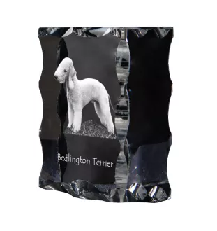 Bedlington Terrier, Rothbury Terrier - Kristall mit einem Hundebild, Glasstatuette mit einem Bild, einzigartiger Bilderrahmen der Marke Art-Dog