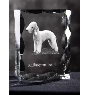 Bedlington Terrier, Rothbury Terrier - Kristall mit einem Hundebild, Glasstatuette mit einem Bild, einzigartiger Bilderrahmen der Marke Art-Dog