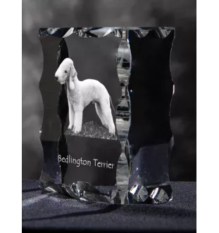 Bedlington Terrier, Rothbury Terrier - Kristall mit einem Hundebild, Glasstatuette mit einem Bild, einzigartiger Bilderrahmen der Marke Art-Dog