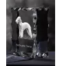 Terrier De Bedlington, Bedlington Terrier - cristal avec photo de chien, statuette en verre avec photo, cadre exceptionnel avec photo de la marque Art-Dog