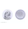 Bergamasco Shepherd Dog, Bergamasco Sheepdog - pin with your dog, add your own photo, Art-Dog brand
