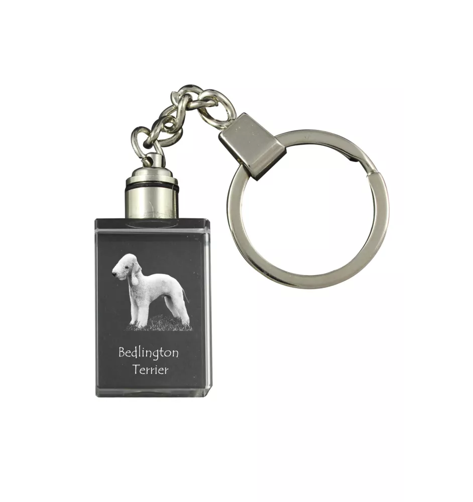 Bedlington Terrier, Rothbury Terrier, Rodbery Terrier - Crystal key ring with dog photo, illuminated key ring, unique gift by Art-Dog brand