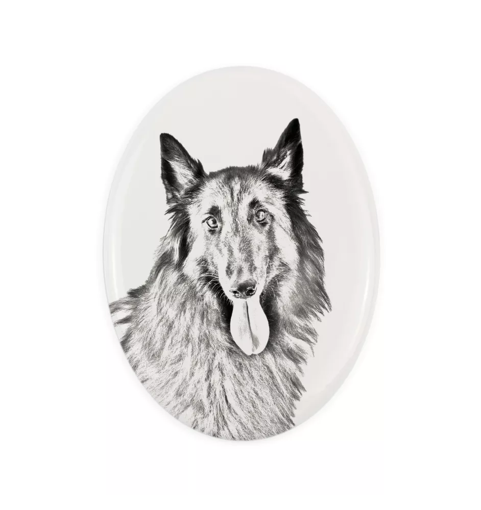 Azawakh, Tuareg Sloughi I - commemorative plaque with a photo of a dog, tombstone with a print, personalized oval plaque from the Art-Dog brand