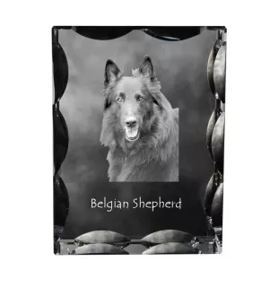 Belgischer Schäferhund - Kristall mit einem Hundebild, Glasstatuette mit einem Bild, einzigartiger Bilderrahmen der Marke Art-Dog
