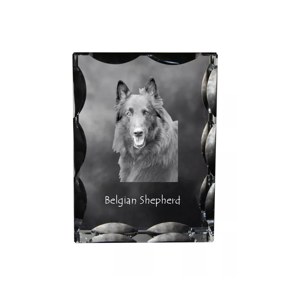 Belgischer Schäferhund - Kristall mit einem Hundebild, Glasstatuette mit einem Bild, einzigartiger Bilderrahmen der Marke Art-Dog