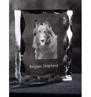 Belgischer Schäferhund - Kristall mit einem Hundebild, Glasstatuette mit einem Bild, einzigartiger Bilderrahmen der Marke Art-Dog