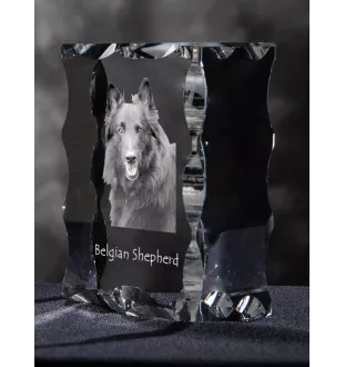 Belgischer Schäferhund - Kristall mit einem Hundebild, Glasstatuette mit einem Bild, einzigartiger Bilderrahmen der Marke Art-Dog