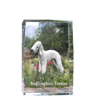 Bedlington Terrier, Rothbury Terrier, Rodbery Terrier - crystal with a picture of a dog, photo in glass, modern exhibition of Art-Dog brand photo