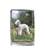 Bedlington Terrier, Rothbury Terrier - Kristall mit einem Hundebild, Bild im Glas, moderne Ausstellung des Art-Dog-Bildes.