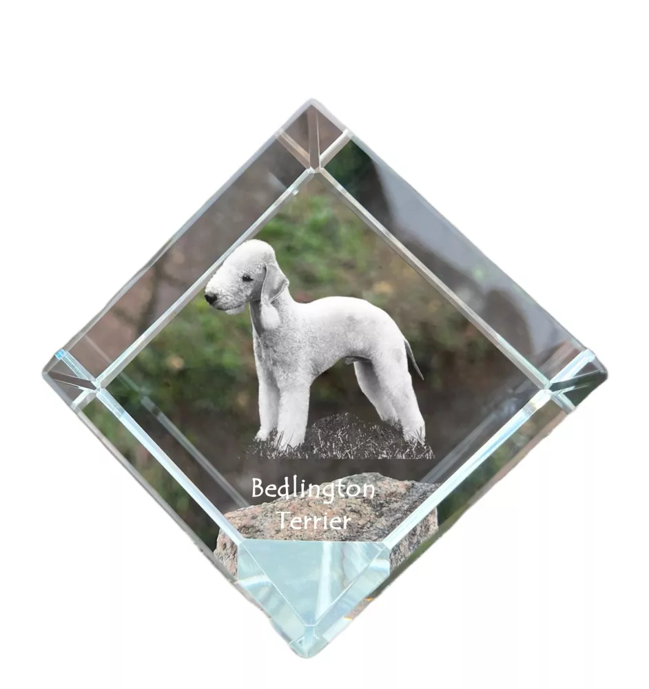 Terrier De Bedlington, Bedlington Terrier - un cube de cristal avec une photo, une photo de cheval dans le cristal, un presse-papiers cubique de la marque Art-Dog