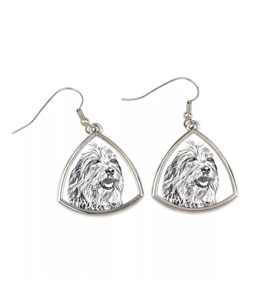Bergamasker Hirtenhund, Berger de bergame - Hund Ohrringe, hängende Ohrringe mit Bild, personalisierter Schmuck mit dem Aufdruck der Marke Art-Dog