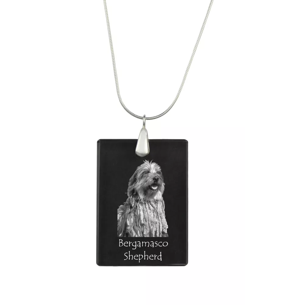 Berger Bergamasque, Berger de Bergame - Pendentif en cristal avec chien, collier en argent avec photo, pendentif personnalisé par la marque Art-Dog