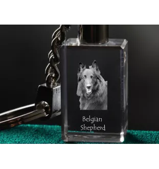 Belgian Shepherd Dog, Belgian Sheepdog - Crystal key ring with dog photo, illuminated key ring, unique gift by Art-Dog brand