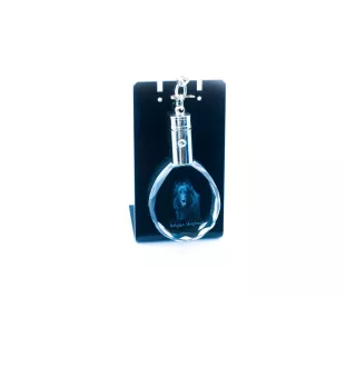 Belgian Shepherd Dog, Belgian Sheepdog - pendant with a photo of a dog, crystal key ring in a gift box, a unique gift by Art-Dog