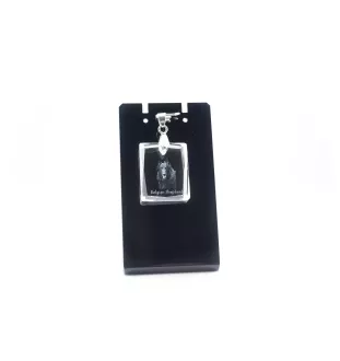 Chiens de Berger Belge - Pendentif chien en cristal, collier photo, bijoux uniques par Art-Dog