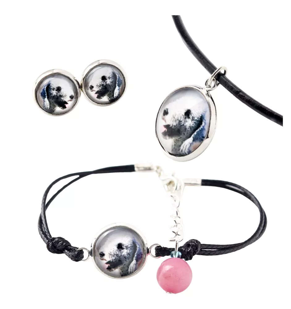 Bedlington Terrier, Rothbury Terrier, Rodbery Terrier - a set of jewelry in a box, necklace, earrings, bracelet, products from the Art-Dog brand