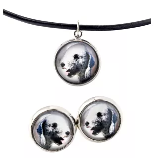 Bedlington Terrier, Rothbury Terrier, Rodbery Terrier - jewelry with your photo box, set of necklace and earrings, personalized products from the Art-Dog brand