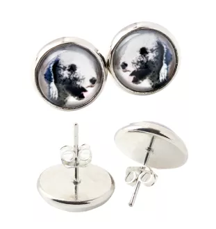 Terrier De Bedlington, Bedlington Terrier - boucles d'oreilles dans une boîte, votre photo, bijoux faits à la main, produit de la marque Art-Dog.