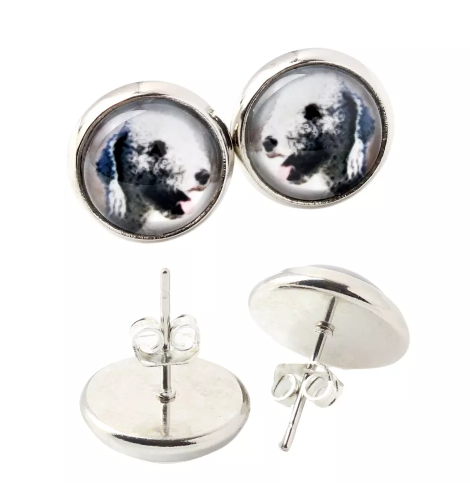Terrier De Bedlington, Bedlington Terrier - boucles d'oreilles dans une boîte, votre photo, bijoux faits à la main, produit de la marque Art-Dog.