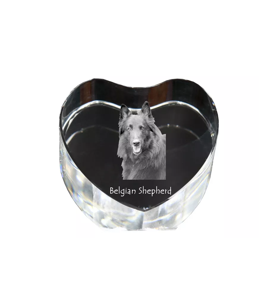 Chiens de Berger Belge - une photo de chien dans un cristal, un cœur en cristal, un cadre photo exceptionnel de la marque Art-Dog