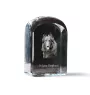Belgian Shepherd Dog, Belgian Sheepdog - crystal cube with a photo, photo of a dog in crystal, cubic paperweight from Art-Dog brand