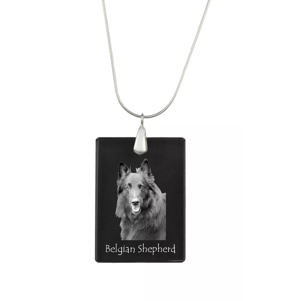 Chiens de Berger Belge - Pendentif en cristal avec chien, collier en argent avec photo, pendentif personnalisé par la marque Art-Dog
