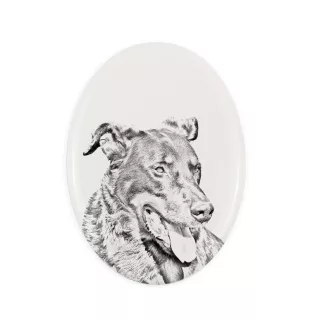 Berger de Beauce, Beauceron, Beauce Sheep Dog - commemorative plaque with a photo of a dog, tombstone with a print, personalized oval plaque from the Art-Dog brand