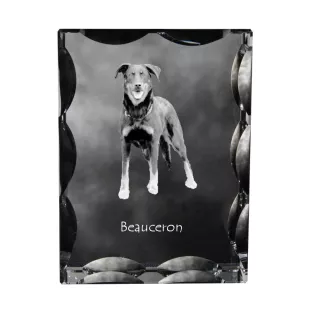 Berger de Beauce, Beauceron, Beauce Sheep Dog - crystal with a picture of a dog, glass statuette with a picture, unique frame with a picture from Art-Dog brand