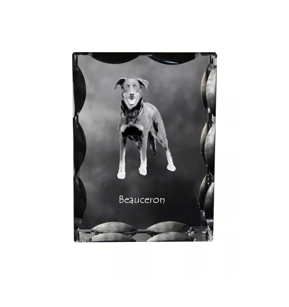 Berger de Beauce, Beauceron - Kristall mit einem Hundebild, Glasstatuette mit einem Bild, einzigartiger Bilderrahmen der Marke Art-Dog