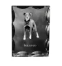 Berger de Beauce, Beauceron, Beauce Sheep Dog - crystal with a picture of a dog, glass statuette with a picture, unique frame with a picture from Art-Dog brand