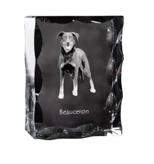 Berger de Beauce, Beauceron - Kristall mit einem Hundebild, Glasstatuette mit einem Bild, einzigartiger Bilderrahmen der Marke Art-Dog