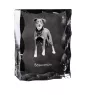 Berger de Beauce, Beauceron, Beauce Sheep Dog - crystal with a picture of a dog, glass statuette with a picture, unique frame with a picture from Art-Dog brand