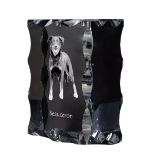 Owczarek francuski Beauceron ramka kryształowa z psem Art-Dog