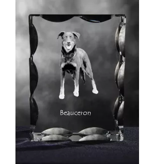 Owczarek francuski Beauceron ramka kryształowa z psem Art-Dog