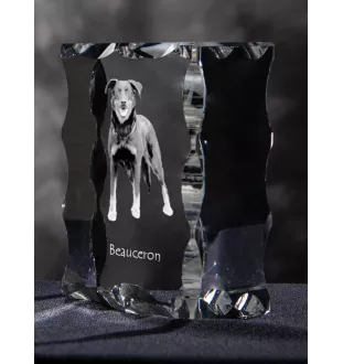 Berger de Beauce, Beauceron - Kristall mit einem Hundebild, Glasstatuette mit einem Bild, einzigartiger Bilderrahmen der Marke Art-Dog