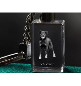 Berger de Beauce, Beauceron - Schlüsselanhänger aus Kristall mit Hundefoto, beleuchteter Schlüsselanhänger, einzigartiges Geschenk der Marke Art-Dog