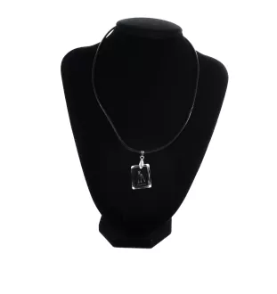 Berger de Beauce, Beauceron, Beauce Sheep Dog - Crystal dog pendant, photo necklace, unique jewellery by Art-Dog