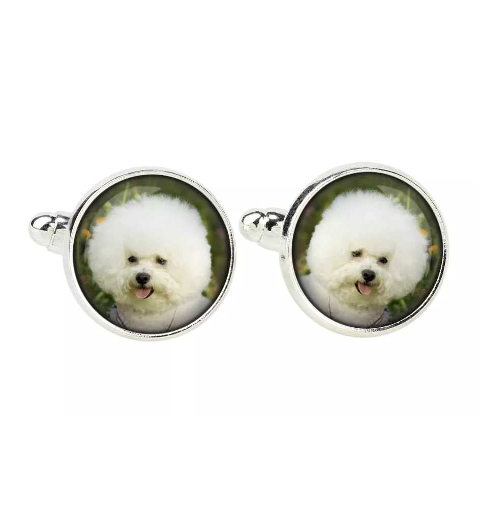 Bichon a poil frise, Bichon Frise, Bichon Tenerife - boutons de manchette, décoration de chemise, pendentif de chemise de la marque Art-Dog