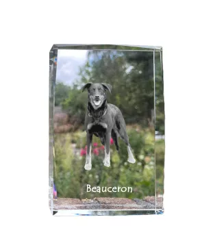 Berger de Beauce, Beauceron - Kristall mit einem Hundebild, Bild im Glas, moderne Ausstellung des Art-Dog-Bildes.