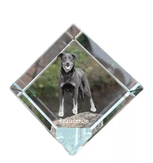 Berger de Beauce, Beauceron - Kristallwürfel mit Bild, Pferdebild im Kristall, sechseckiger Papierclip der Marke Art-Dog