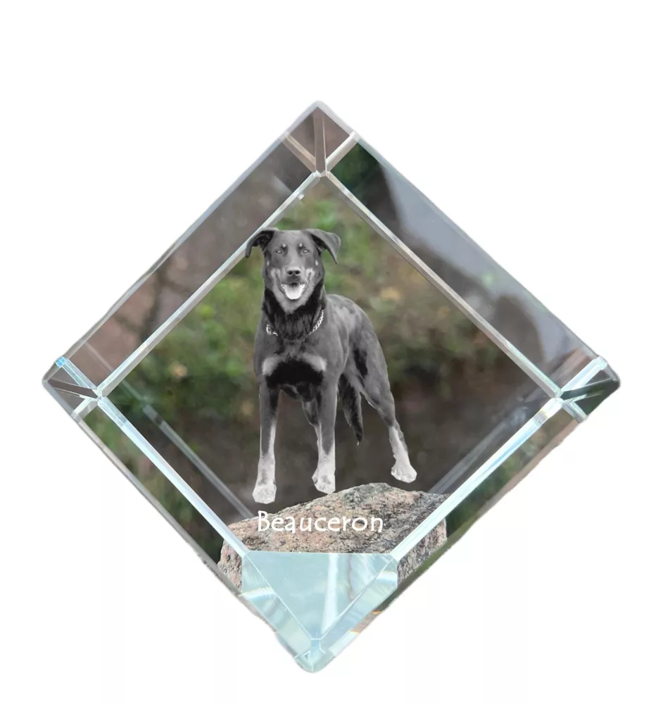 Berger de Beauce, Beauceron, Beauce Sheep Dog - crystal cube with a photo, photo of a horse in crystal, cubic paperweight from Art-Dog brand