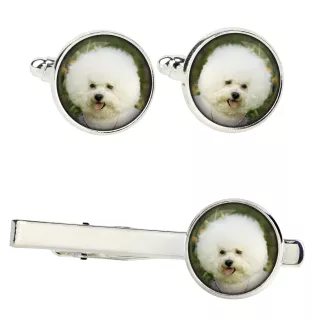 Bichon Frise, Bichon Tenerife, Bichon a poil frise - cufflinks and tie with your photo, a suit decoration, men's jewelry from the Art-Dog brand.