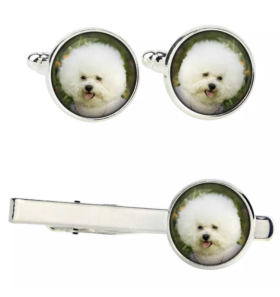 Bichon a poil frise, Bichon Frise, Bichon Tenerife - Boutons de manchette et cravate avec votre photo, accessoire de costume, bijoux pour hommes de la marque Art-Dog.