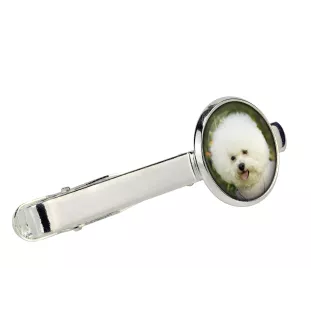 Bichon Frise, Bichon Tenerife, Bichon a poil frise - cufflinks and tie with your photo, a suit decoration, men's jewelry from the Art-Dog brand.