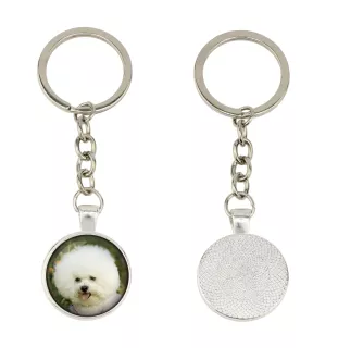 Bichon Frise, Gelockter Bichon, Tenneriffahündchen - Schlüsselanhänger in einer Box, eigenes Foto, Schlüsselanhänger der Marke Art-Dog