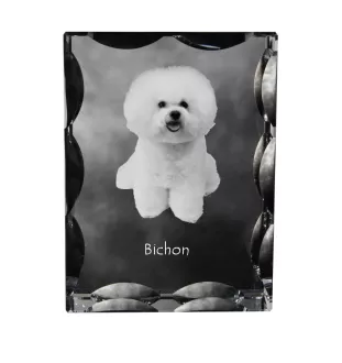 Bichon a poil frise, Bichon Frise, Bichon Tenerife - cristal avec photo de chien, statuette en verre avec photo, cadre exceptionnel avec photo de la marque Art-Dog