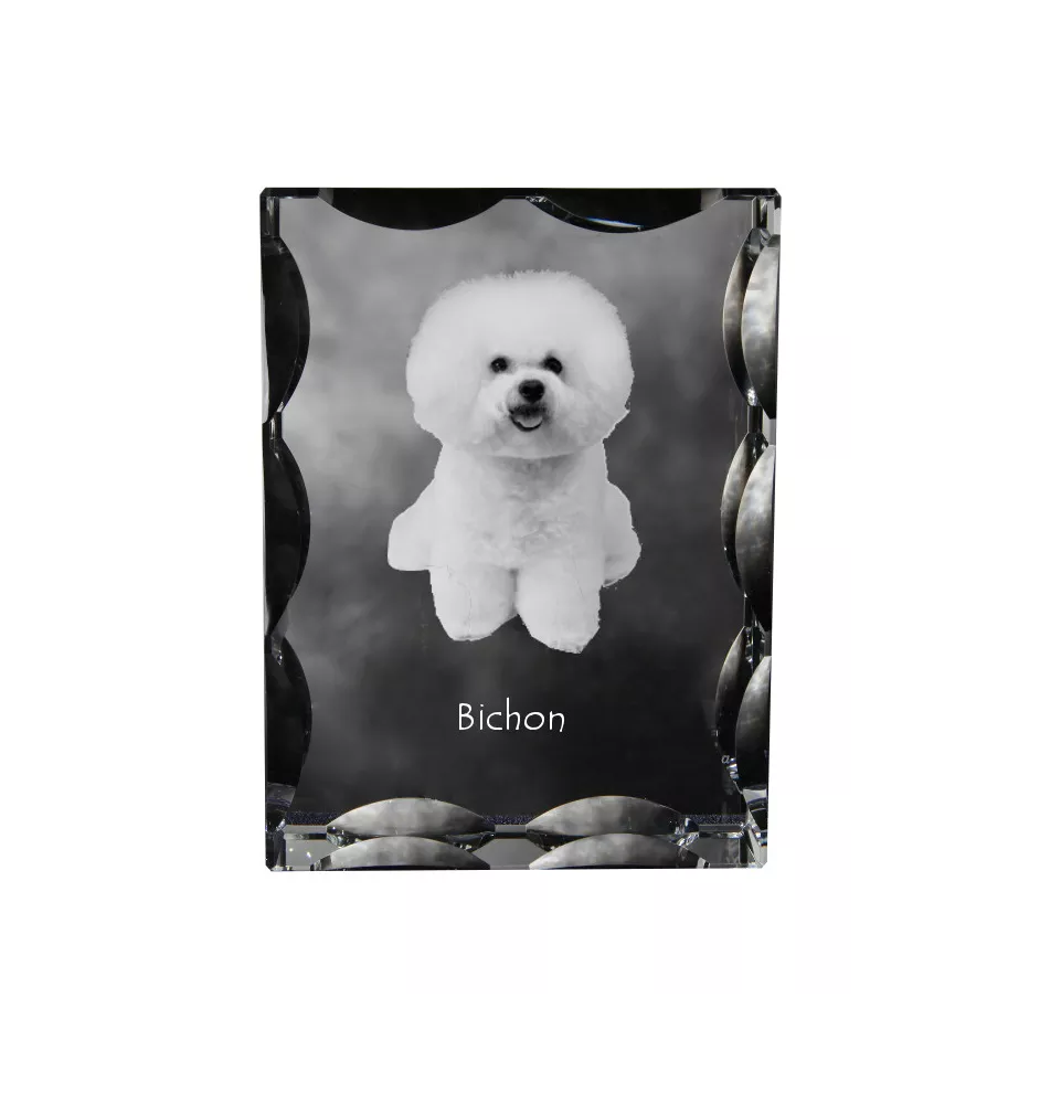 Bichon a poil frise, Bichon Frise, Bichon Tenerife - cristal avec photo de chien, statuette en verre avec photo, cadre exceptionnel avec photo de la marque Art-Dog