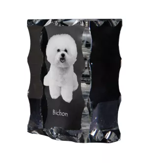 Bichon a poil frise, Bichon Frise, Bichon Tenerife - cristal avec photo de chien, statuette en verre avec photo, cadre exceptionnel avec photo de la marque Art-Dog